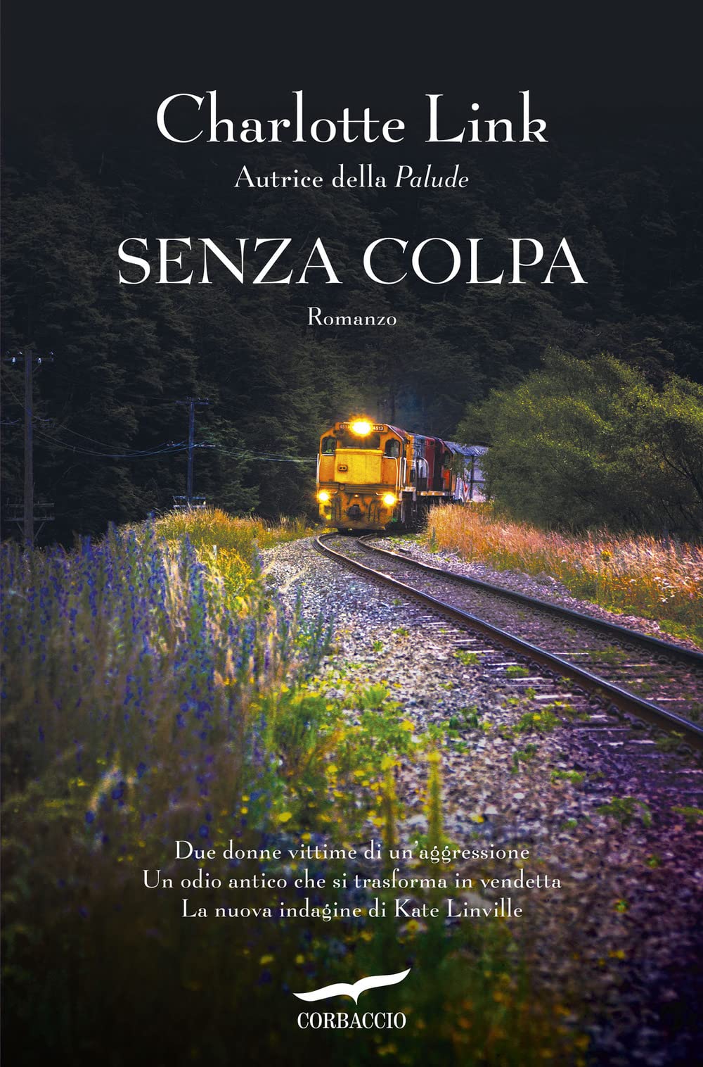Senza colpa. Le indagini di Kate Linville book