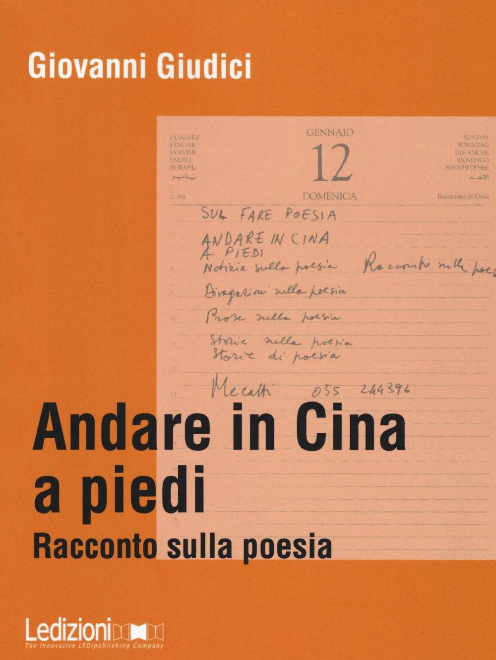 Andare in Cina a piedi. Racconto sulla poesia Contemporary literature