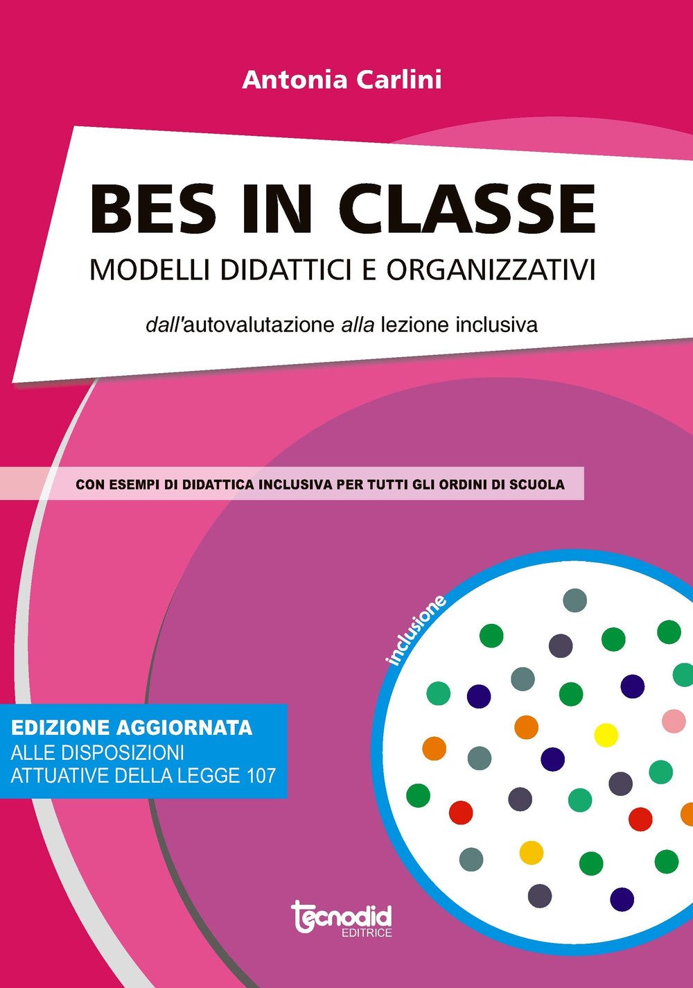 Bes in classe. Modelli didattici e organizzativi dall'autovalutazione alla lezione inclusiva book