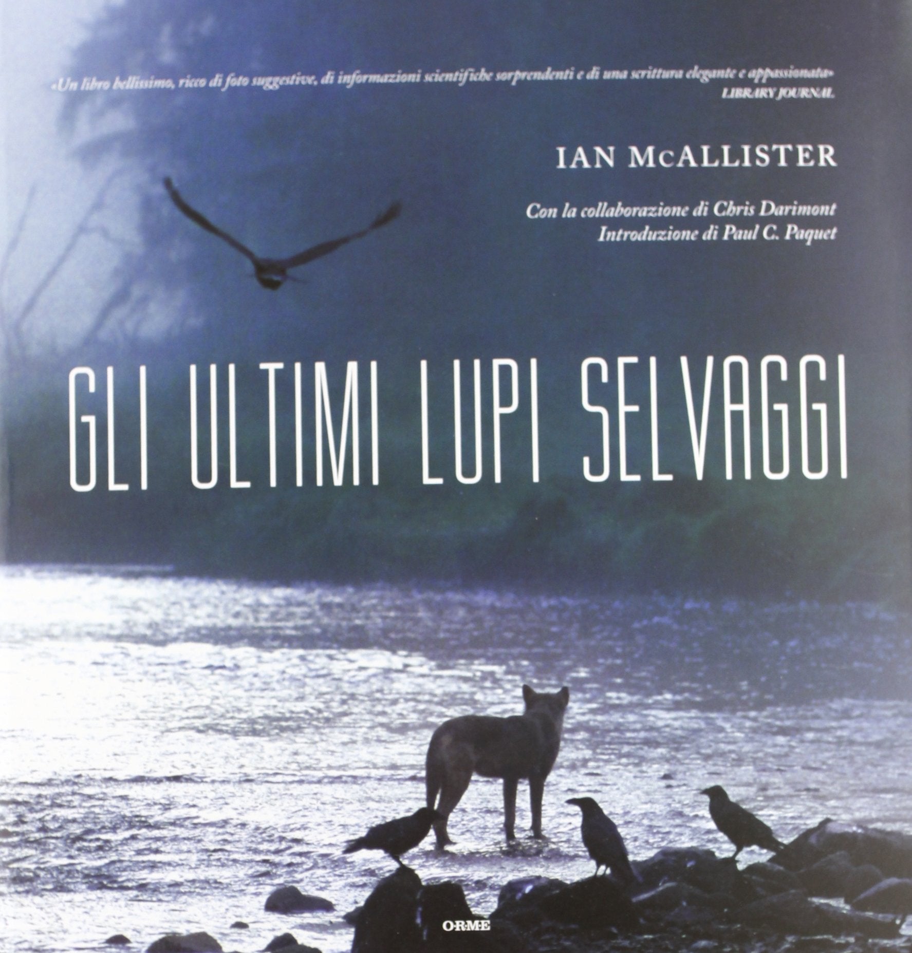 Gli ultimi lupi selvaggi. Ediz. illustrata book