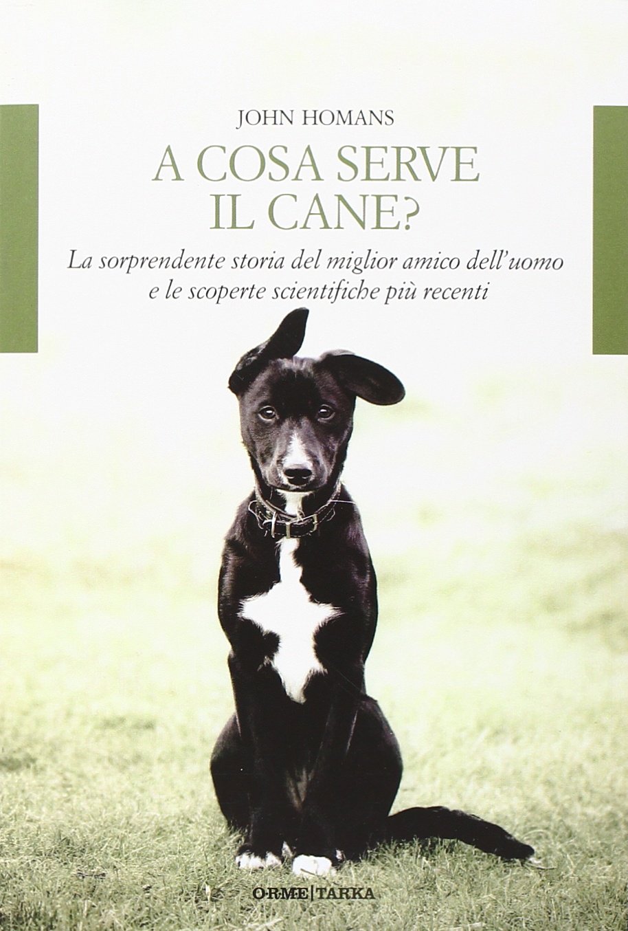 A cosa serve il cane? La sorprendente storia del miglior amico dell'uomo e le scoperte scientifiche più recenti (Tarka) Pets