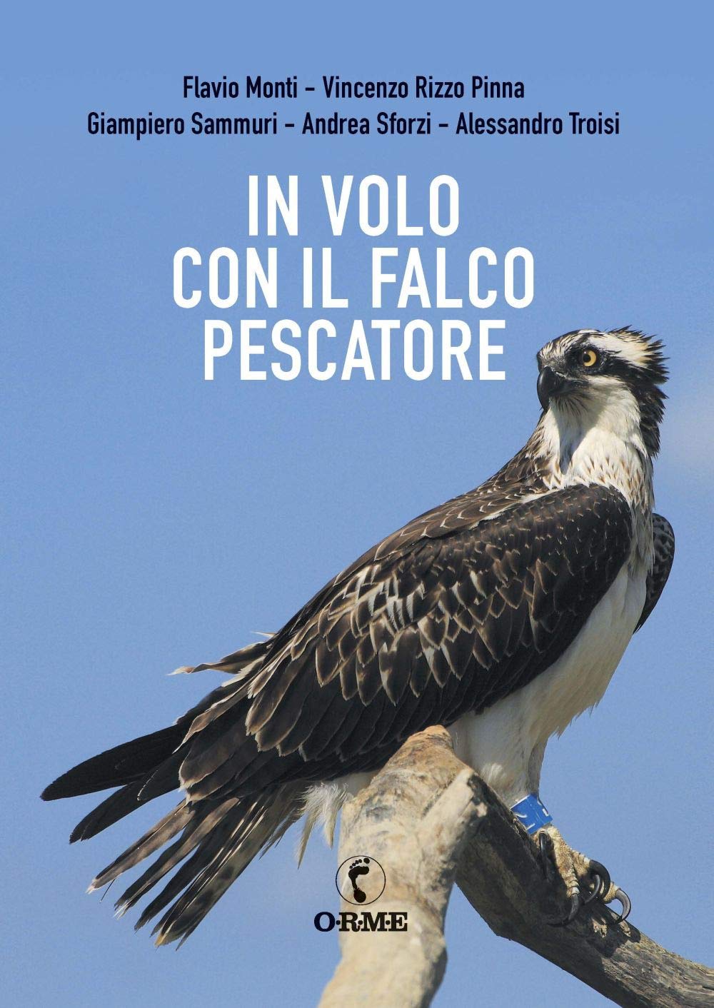 In volo con il falco pescatore book