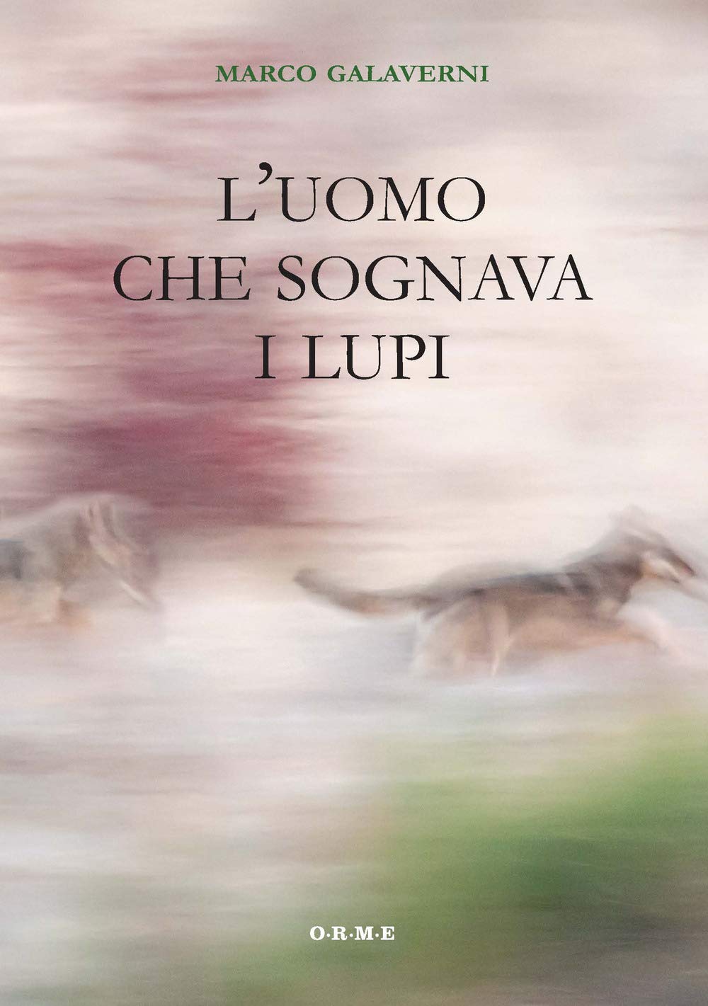 L'uomo che sognava i lupi Leisure, Home & Garden