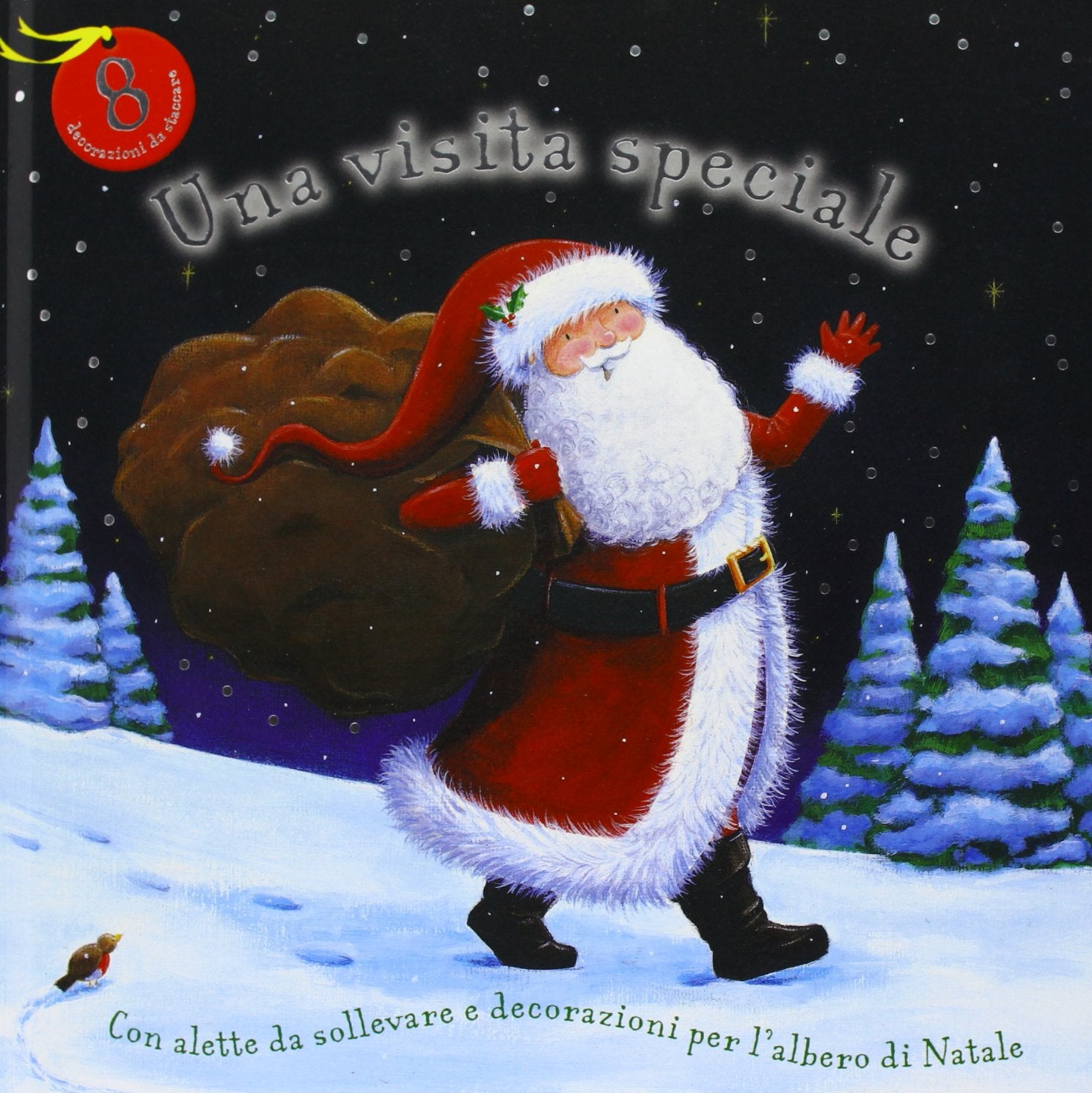Una visita speciale. Libro pop-up. Ediz. illustrata book