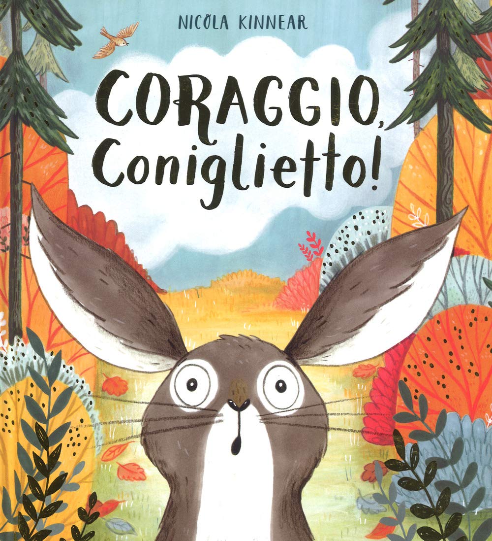 Coraggio, coniglietto! Ediz. a colori book