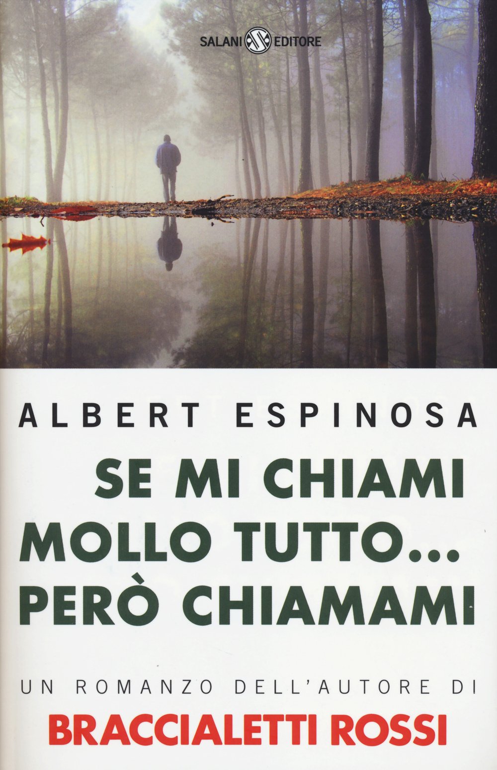Se mi chiami mollo tutto... però chiamami Contemporary literature
