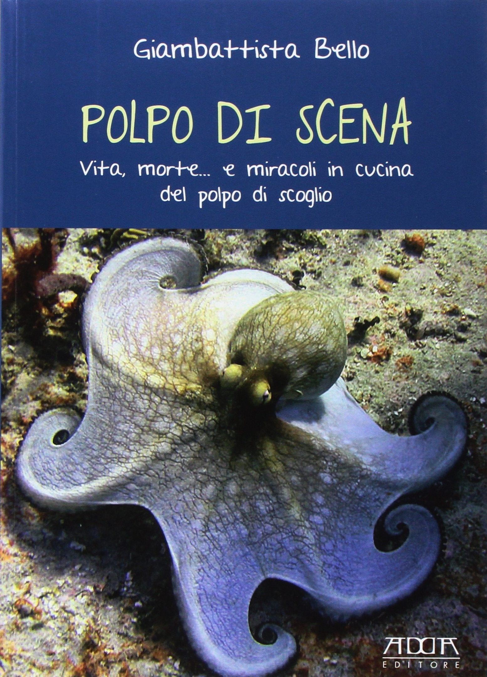 Polpo di scena. Vita, morte... e miracoli del polpo di scoglio Leisure, Home & Garden