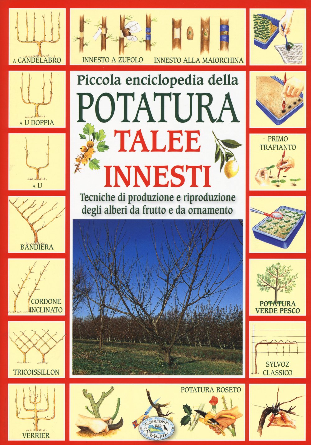 Piccola enciclopedia della potatura, innesti, talee. Tecniche di riproduzione degli alberi da frutto e da ornamento book