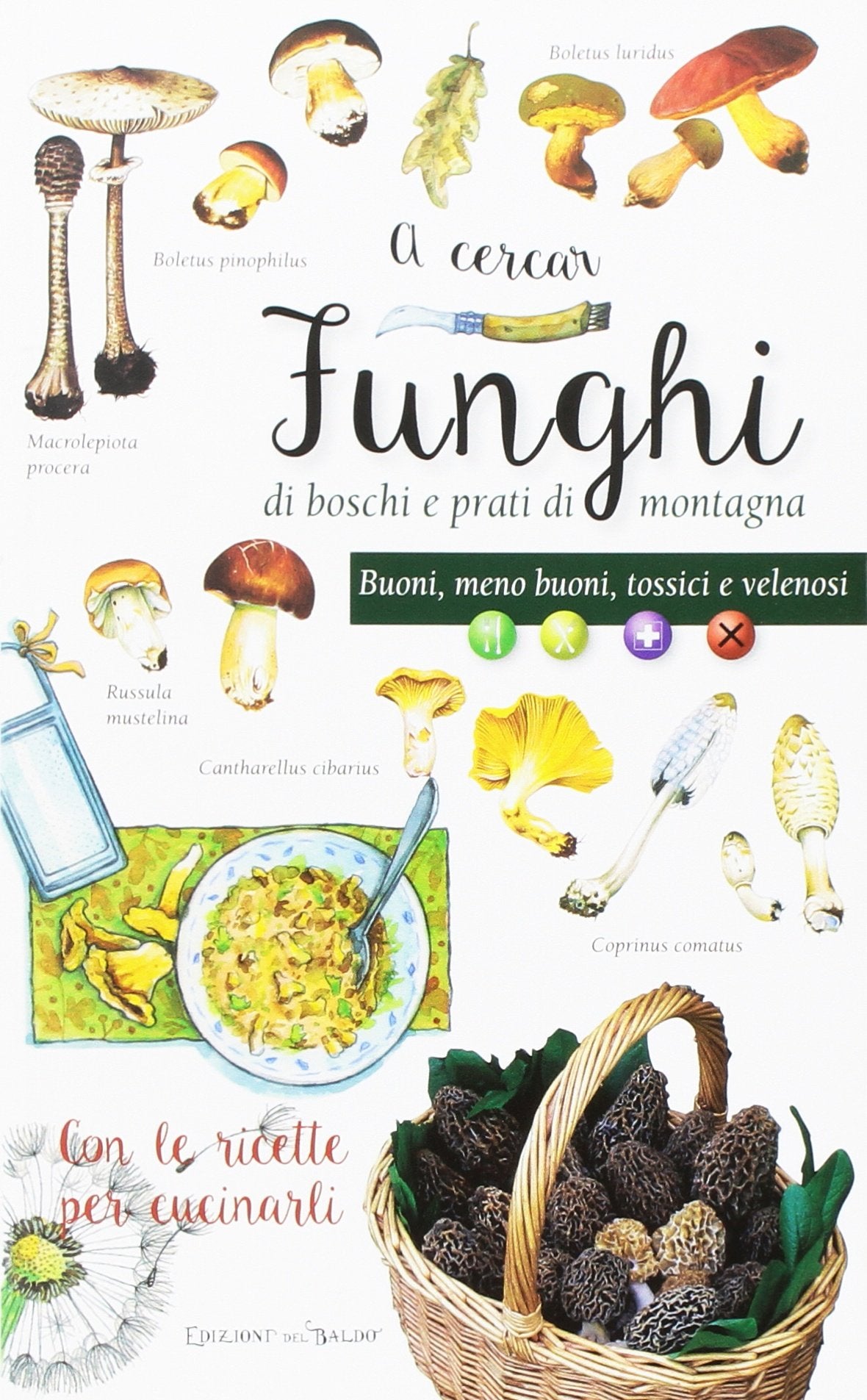 A cercar funghi di boschi e prati di montagna. Buoni, meno buoni, tossici e velenosi. Con le ricette per cucinarli (Tre talleri) Leisure, Home & Garden