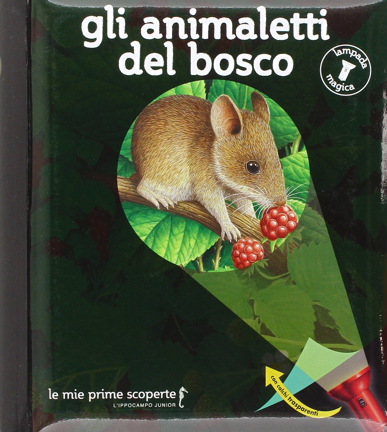 Gli animaletti del bosco. Lampada magica book