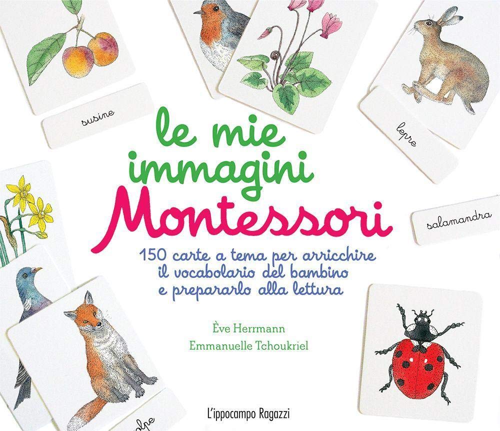 Le mie immagini Montessori. 150 carte a tema per arricchire il vocabolario del bambino e prepararlo alla lettura. Ediz. illustrata book