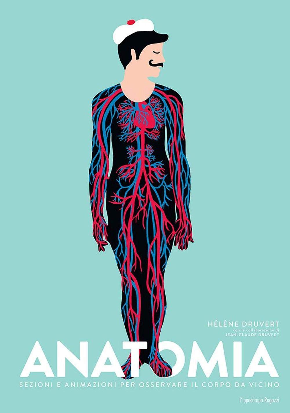 Anatomia. Sezioni e animazioni per osservare il corpo da vicino Non-fiction