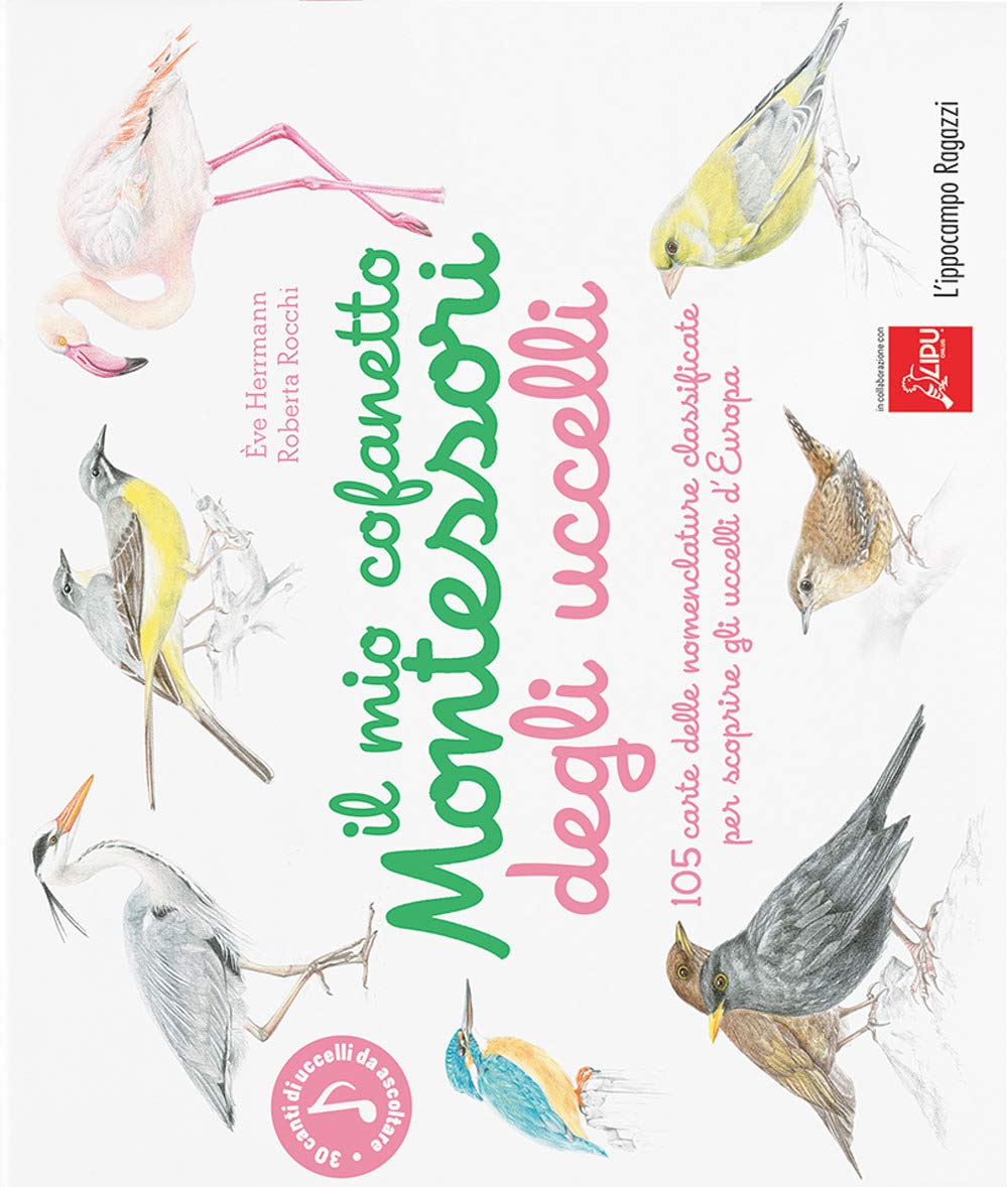 Il mio cofanetto Montessori degli uccelli Non-fiction