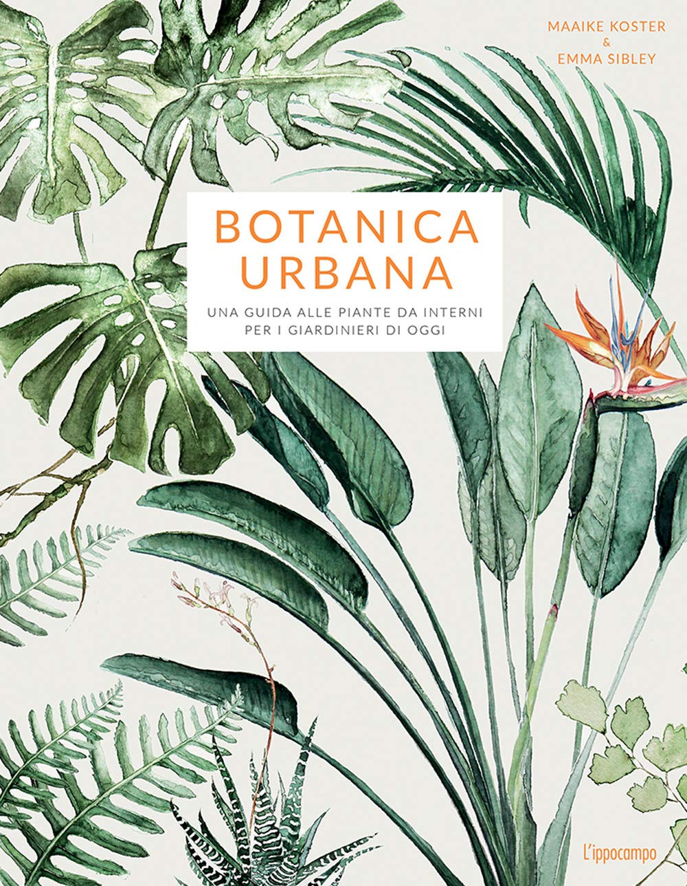 Botanica urbana. Una guida alle piante da interni per i giardinieri di oggi book