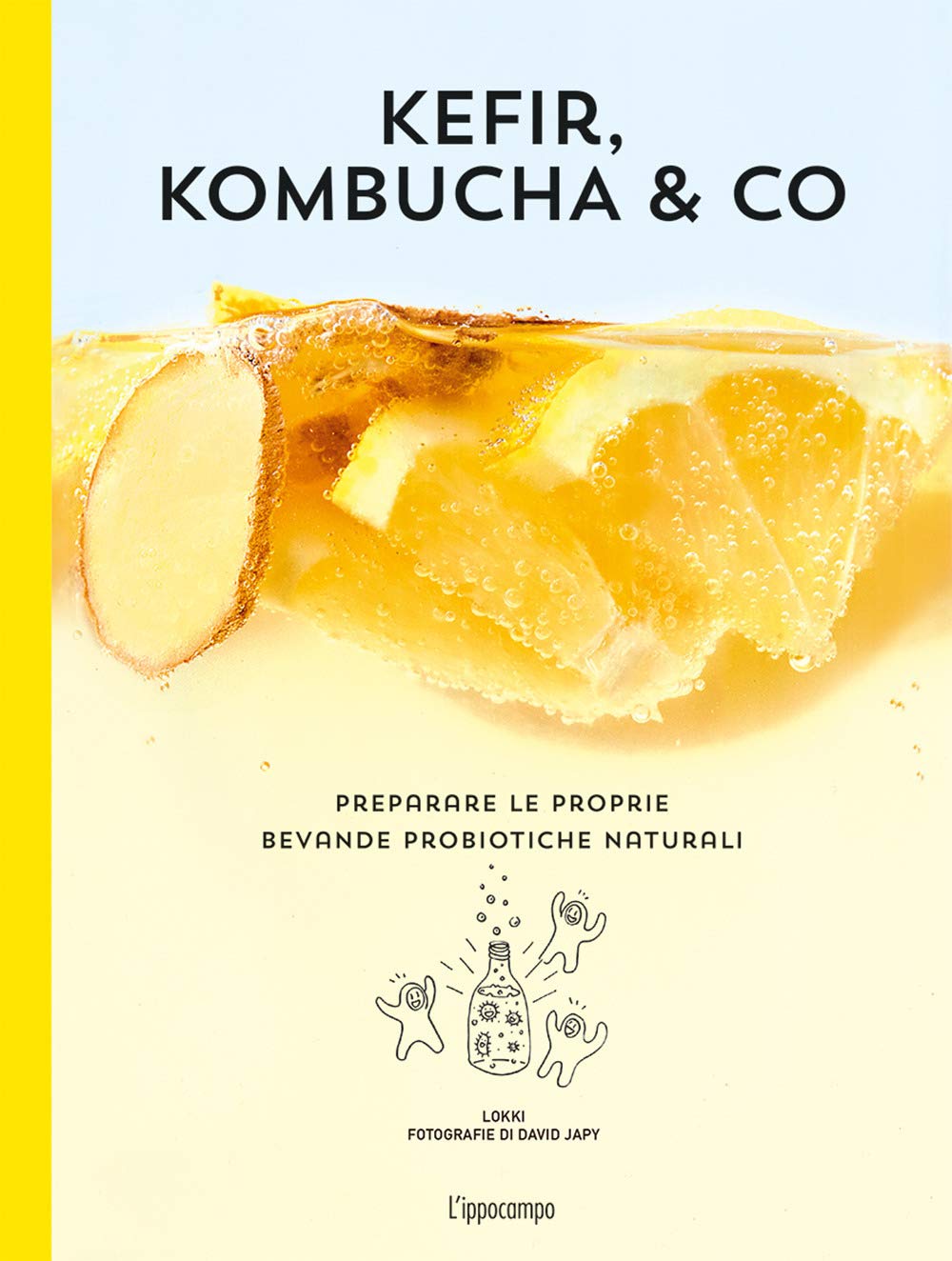 Kefir, kombucha & Co. Preparare le proprie bevande probiotiche naturali book