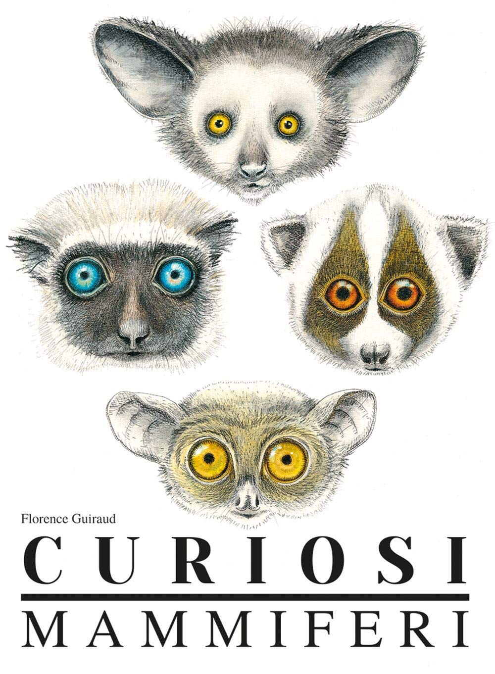 Curiosi mammiferi. Ediz. a colori book