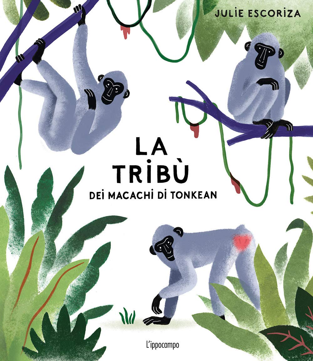 La tribù dei macachi di Tonkean. Ediz. a colori book