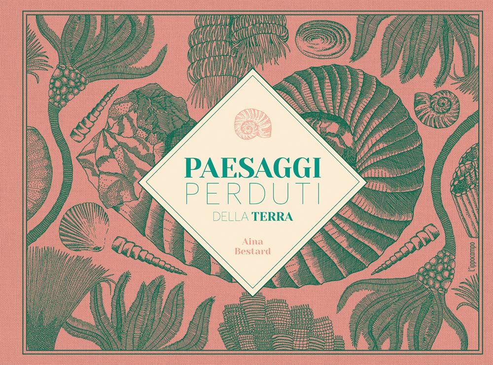 Paesaggi perduti della Terra. Ediz. illustrata book