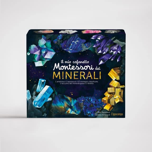 Il mio cofanetto Montessori dei minerali. Ediz. a colori. Con gadget Non-fiction