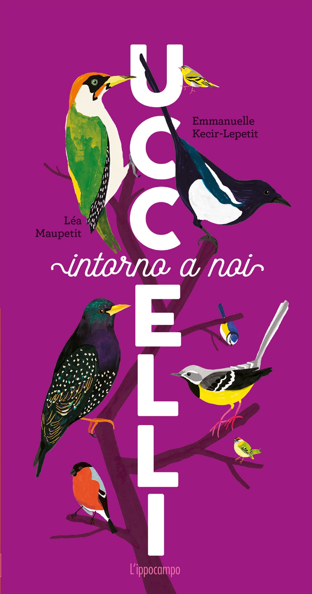 Uccelli intorno a noi book