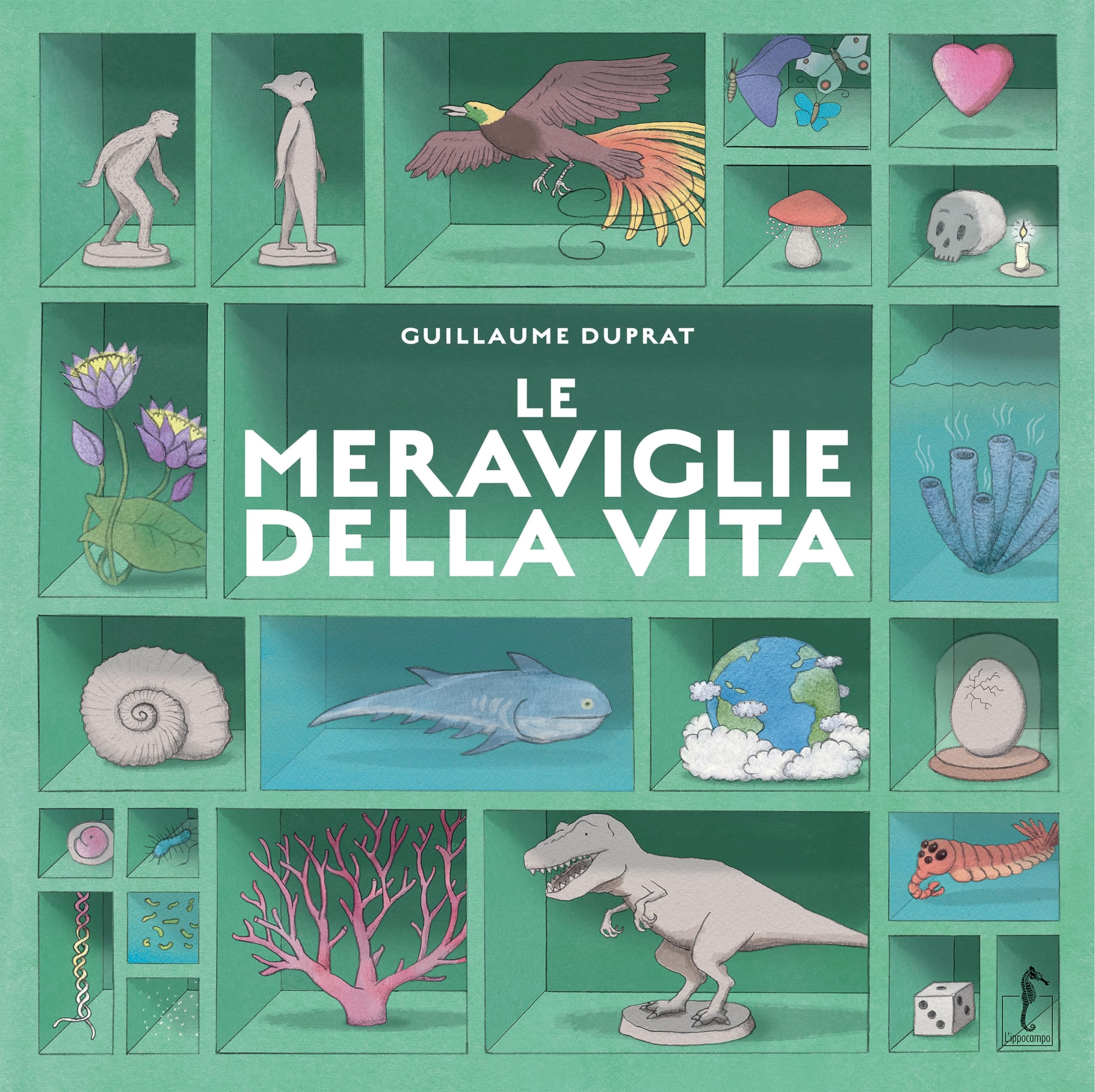 Le meraviglie della vita. Ediz. a colori book