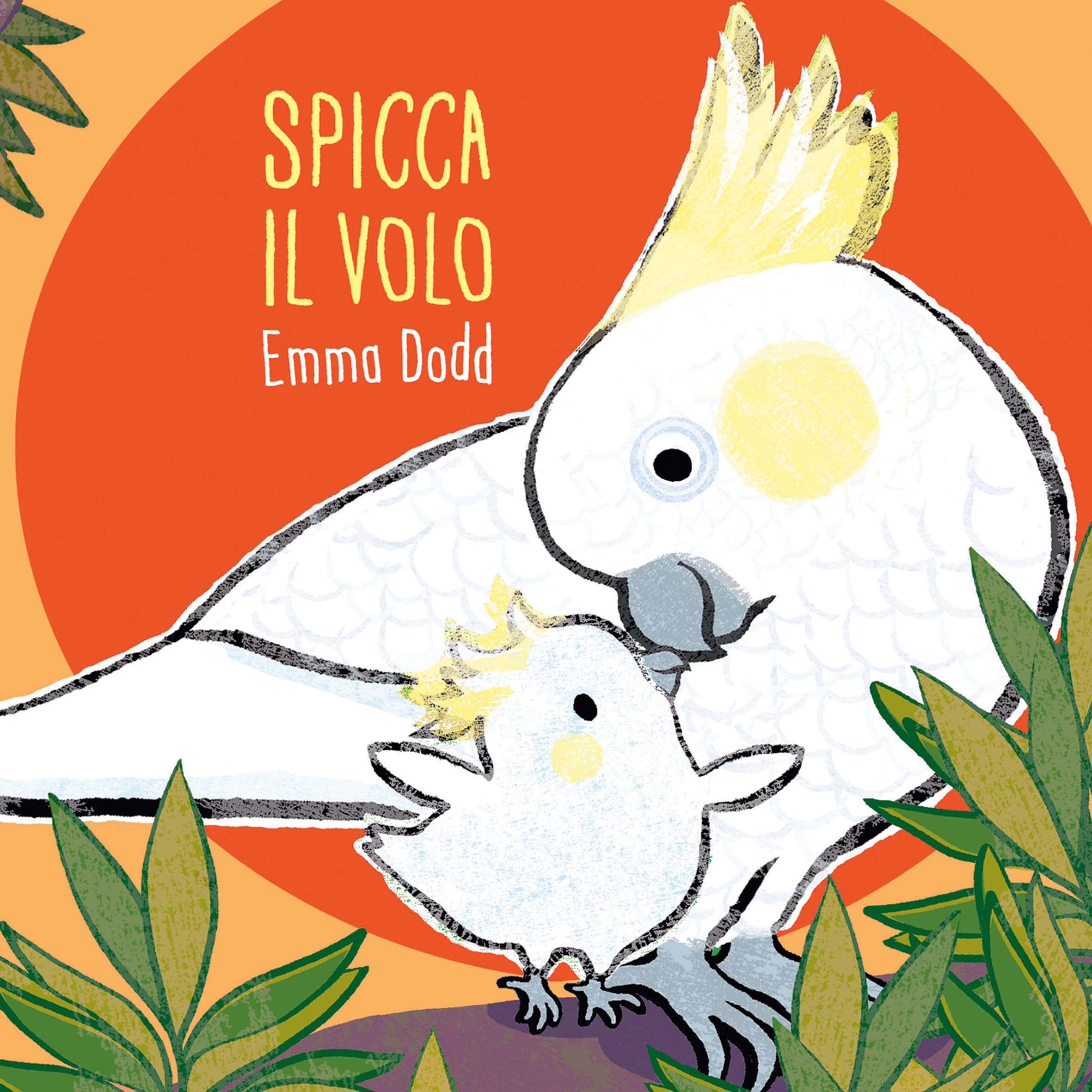 Spicca il volo Non-fiction