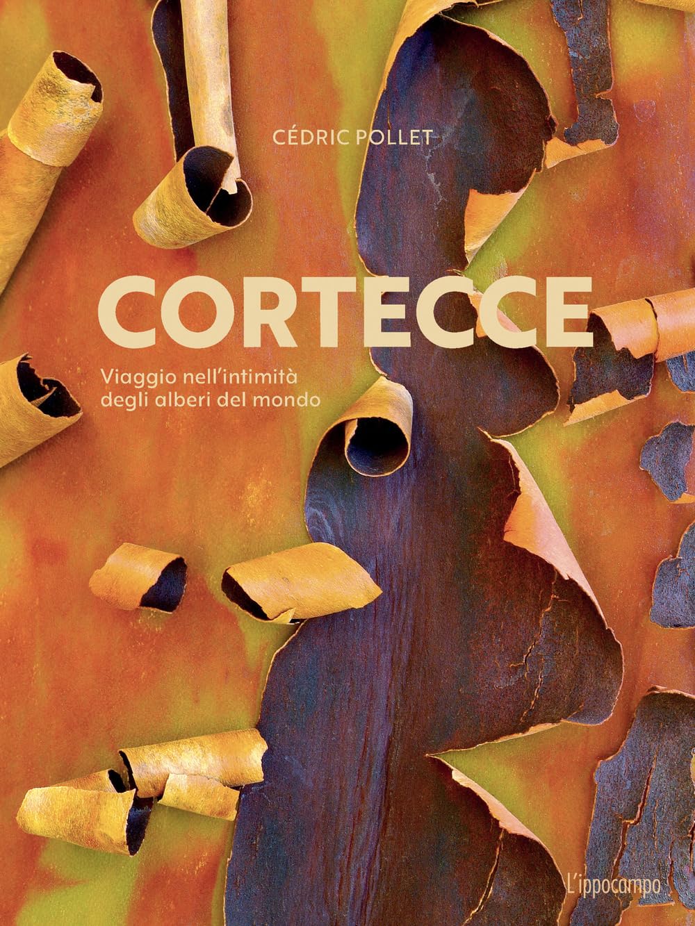 Cortecce. Viaggio nell'intimità degli alberi del mondo Travel