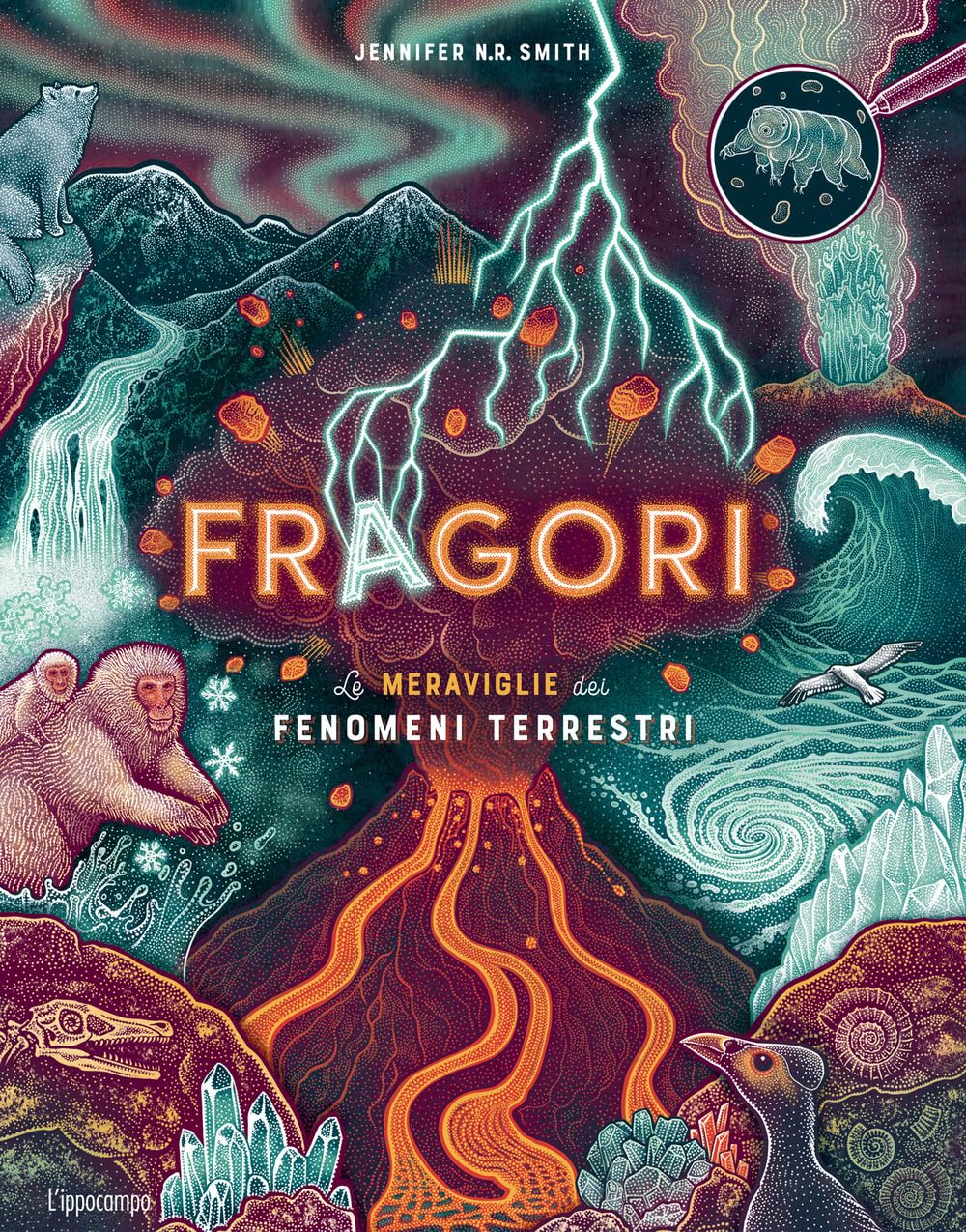 Fragori. Le meraviglie dei fenomeni terrestri (L' ippocampo ragazzi) Non-fiction