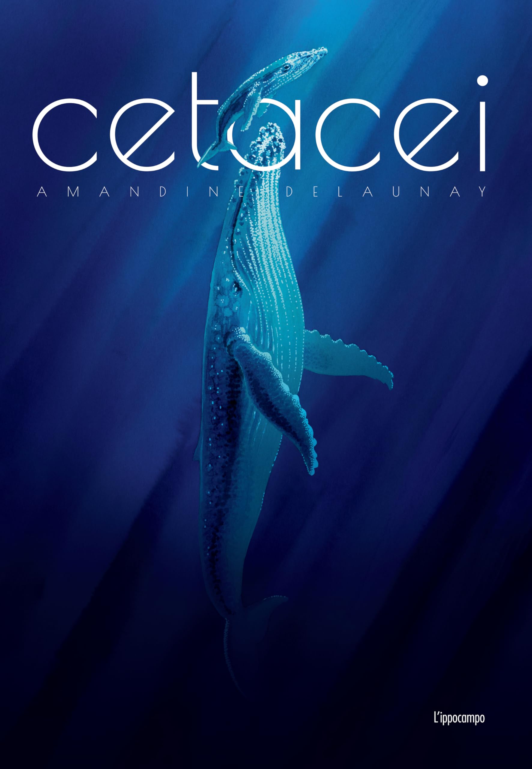 Cetacei. Album scoperte Non-fiction