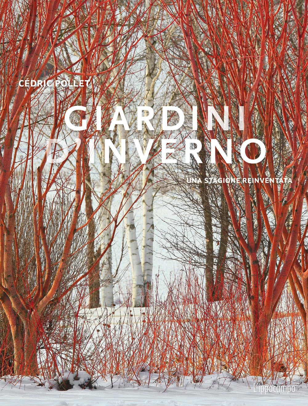 Giardini d'inverno. Una stagione reinventata book