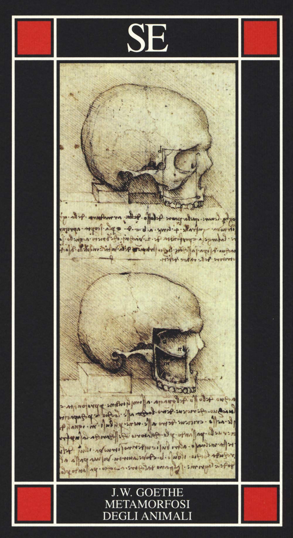 La metamorfosi degli animali book