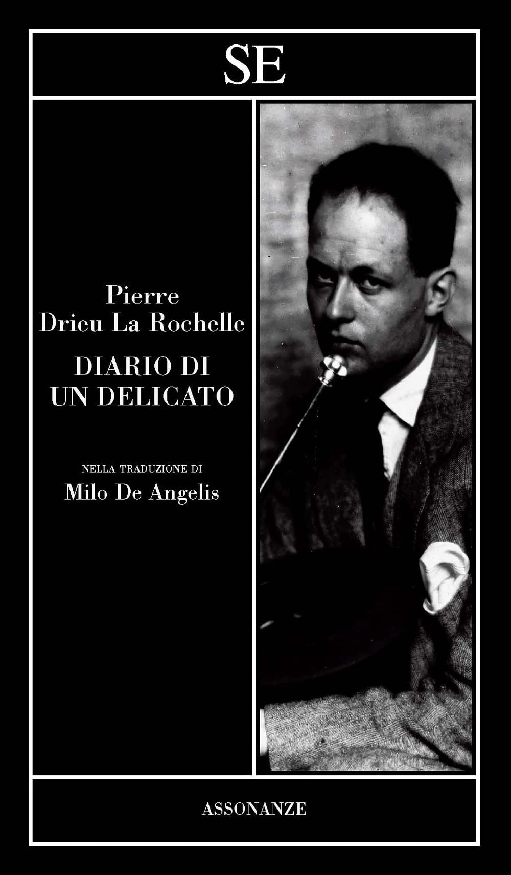 Diario di un delicato book