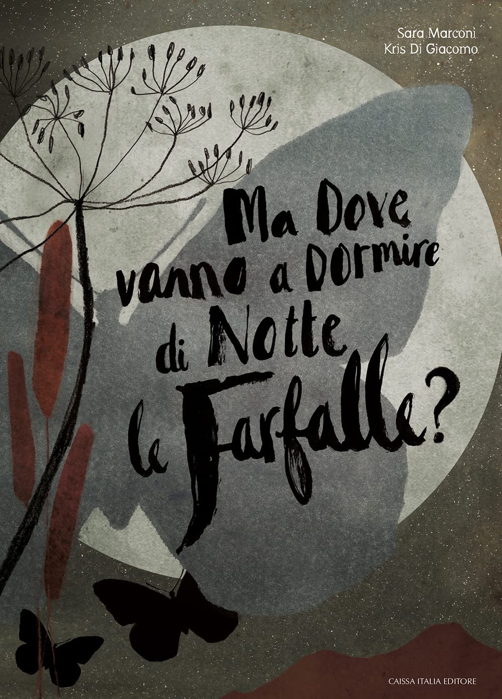 Ma dove vanno a dormire di notte le farfalle? Ediz. a colori book