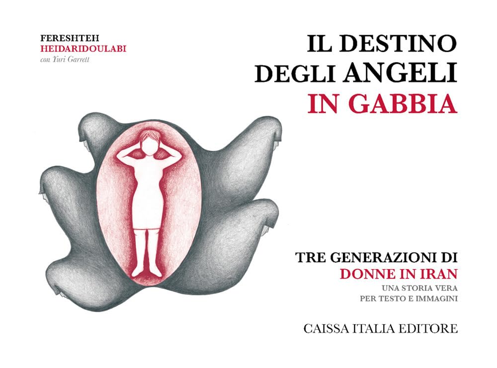 Il destino degli angeli in gabbia. Tre generazioni di donne in Iran. Ediz. illustrata book