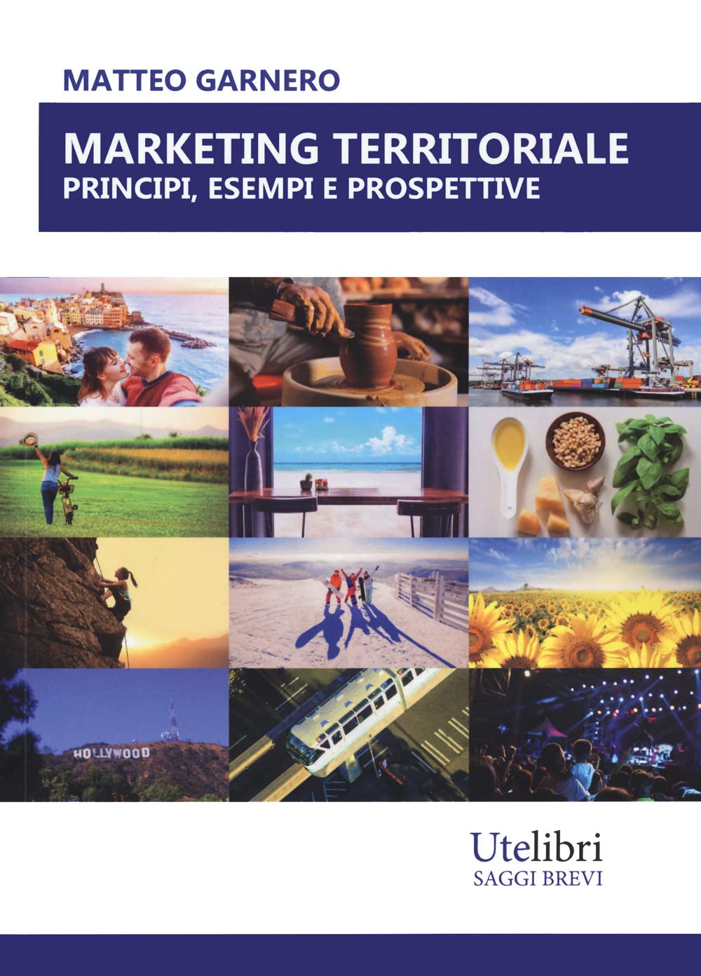 Marketing territoriale: principi, esempi e prospettive book