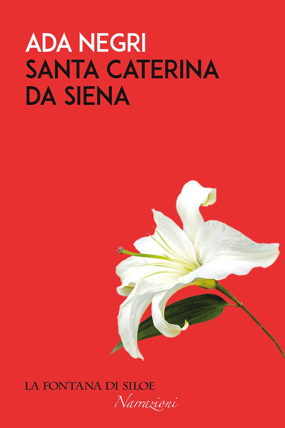 Santa Caterina da Siena Politics & History