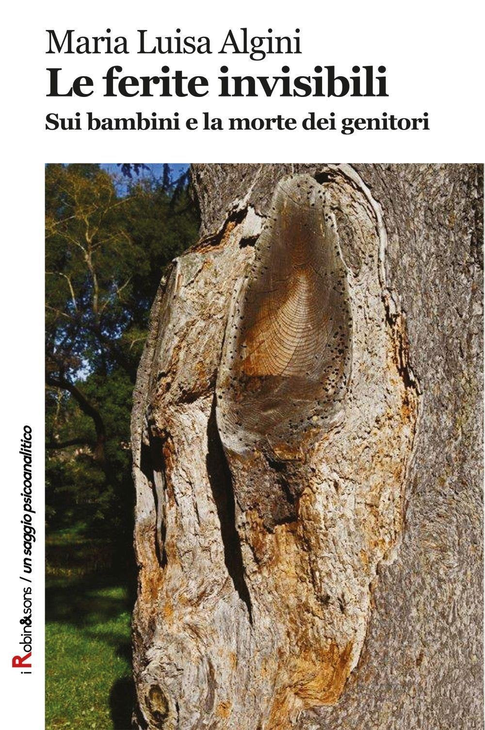 Le ferite invisibili. Sui bambini e la morte dei genitori book