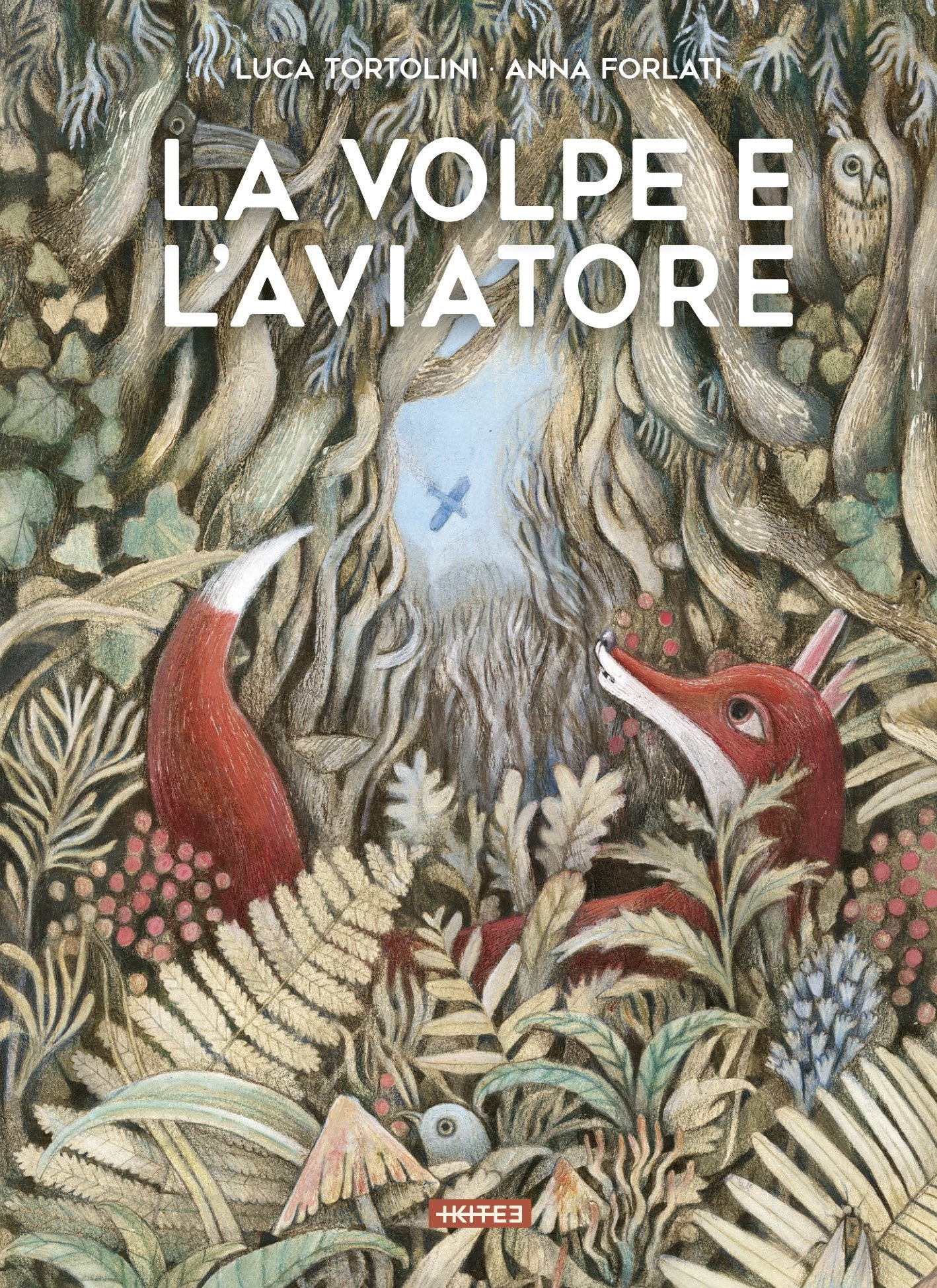 La volpe e l'aviatore. Ediz. illustrata book