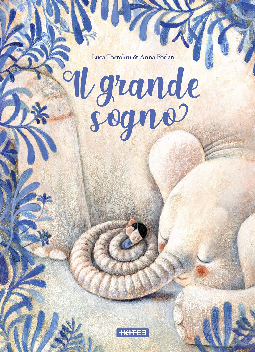 Il grande sogno. Ediz. a colori book