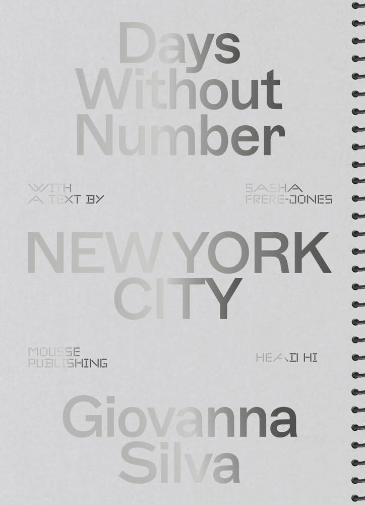Giovanna Silva: Days Without Number, New York City book