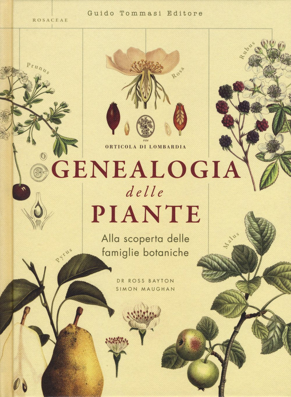 Product Image: Genealogia delle piante