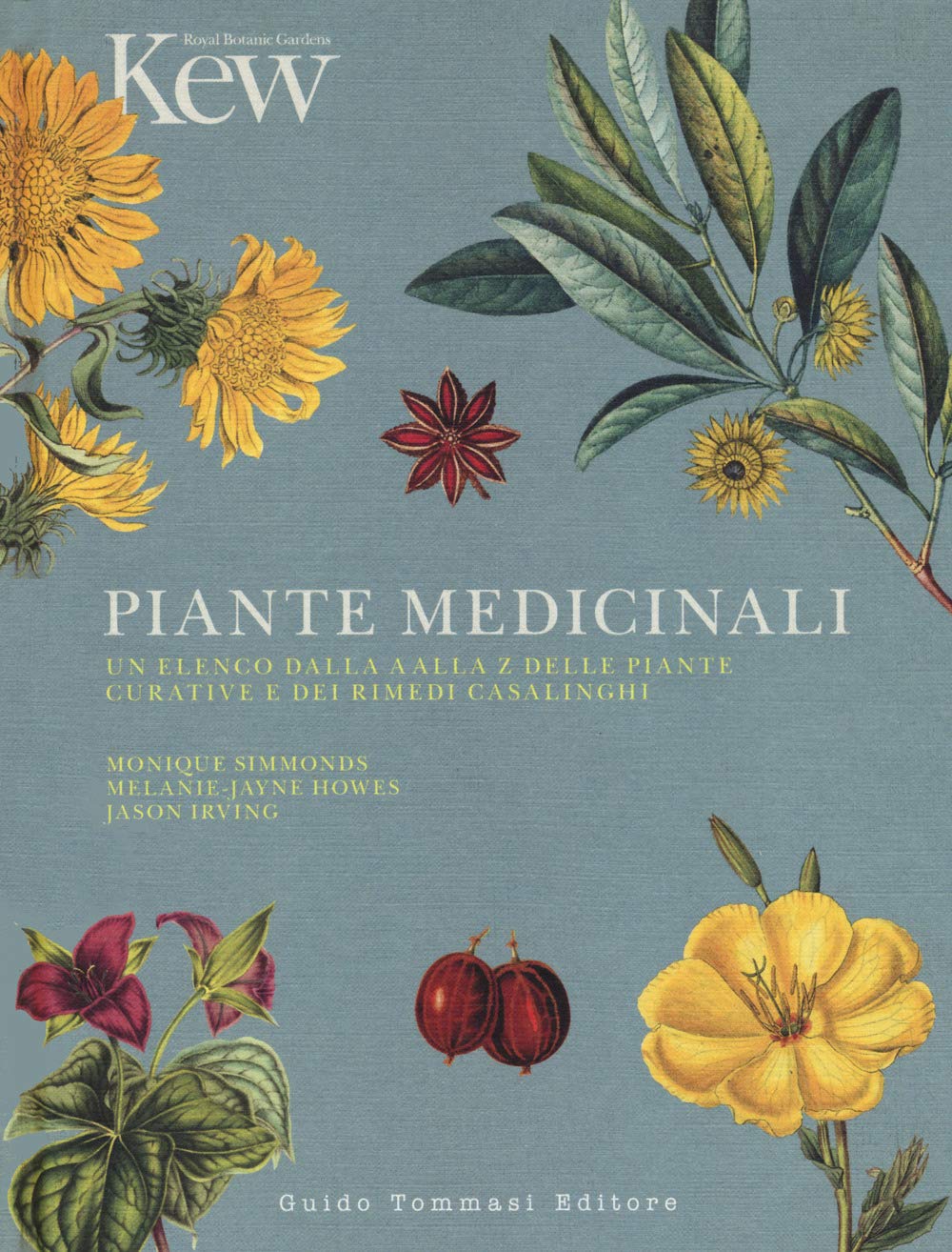 Piante medicinali. Un elenco dalla A alla Z delle piante curative e dei rimedi casalinghi (Germogli) Health, Nutrition & Fitness