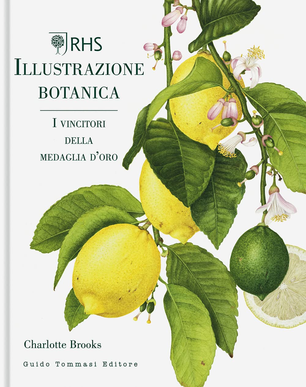 Illustrazione botanica. Ediz. illustrata book