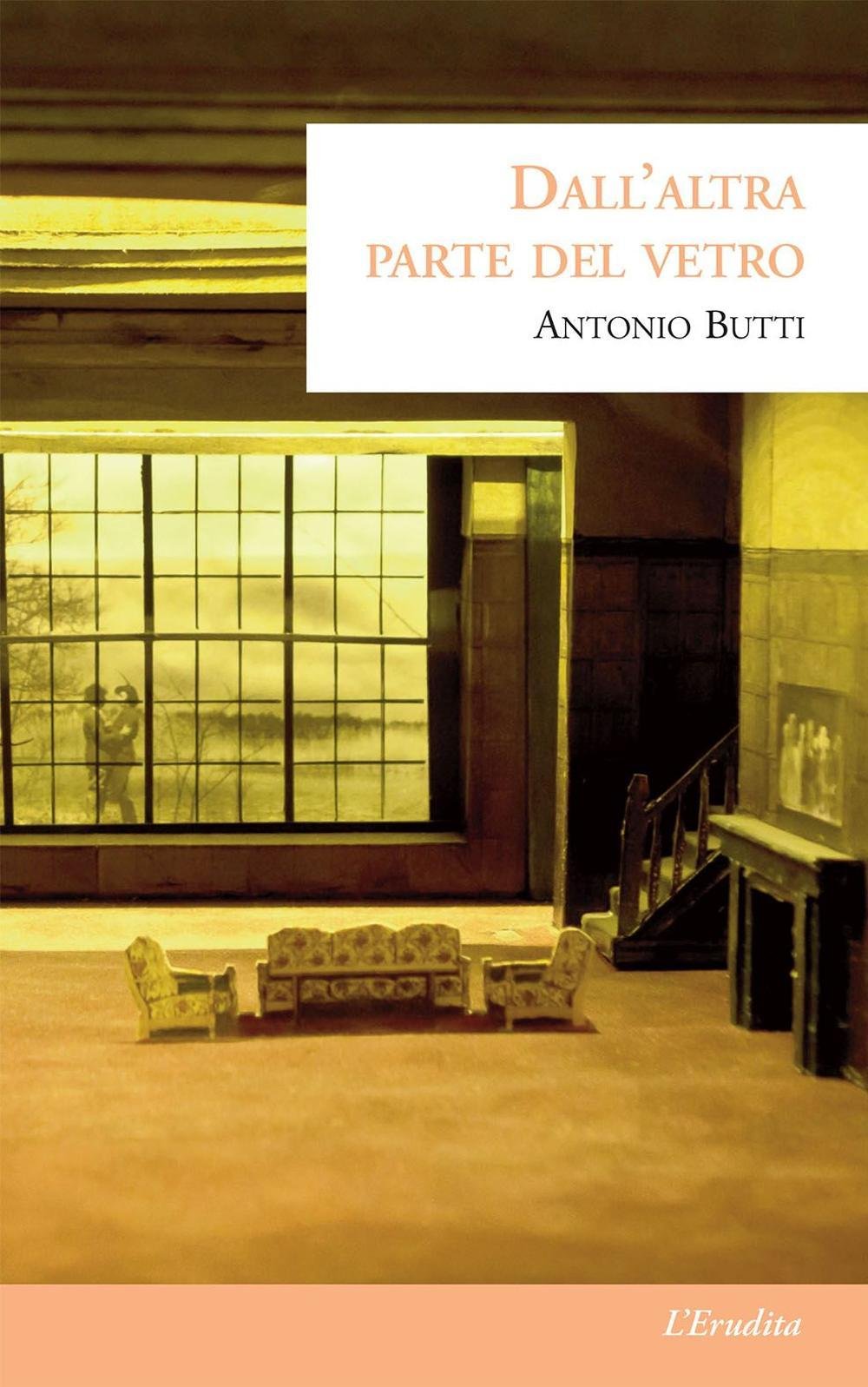 Dall'altra parte del vetro book