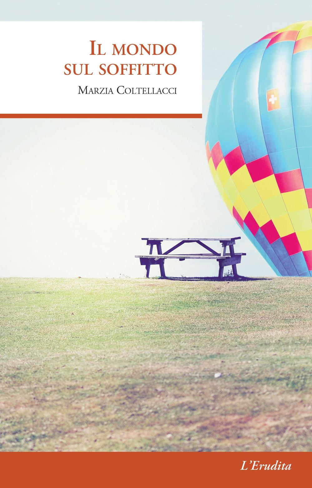 Il mondo sul soffitto Contemporary literature