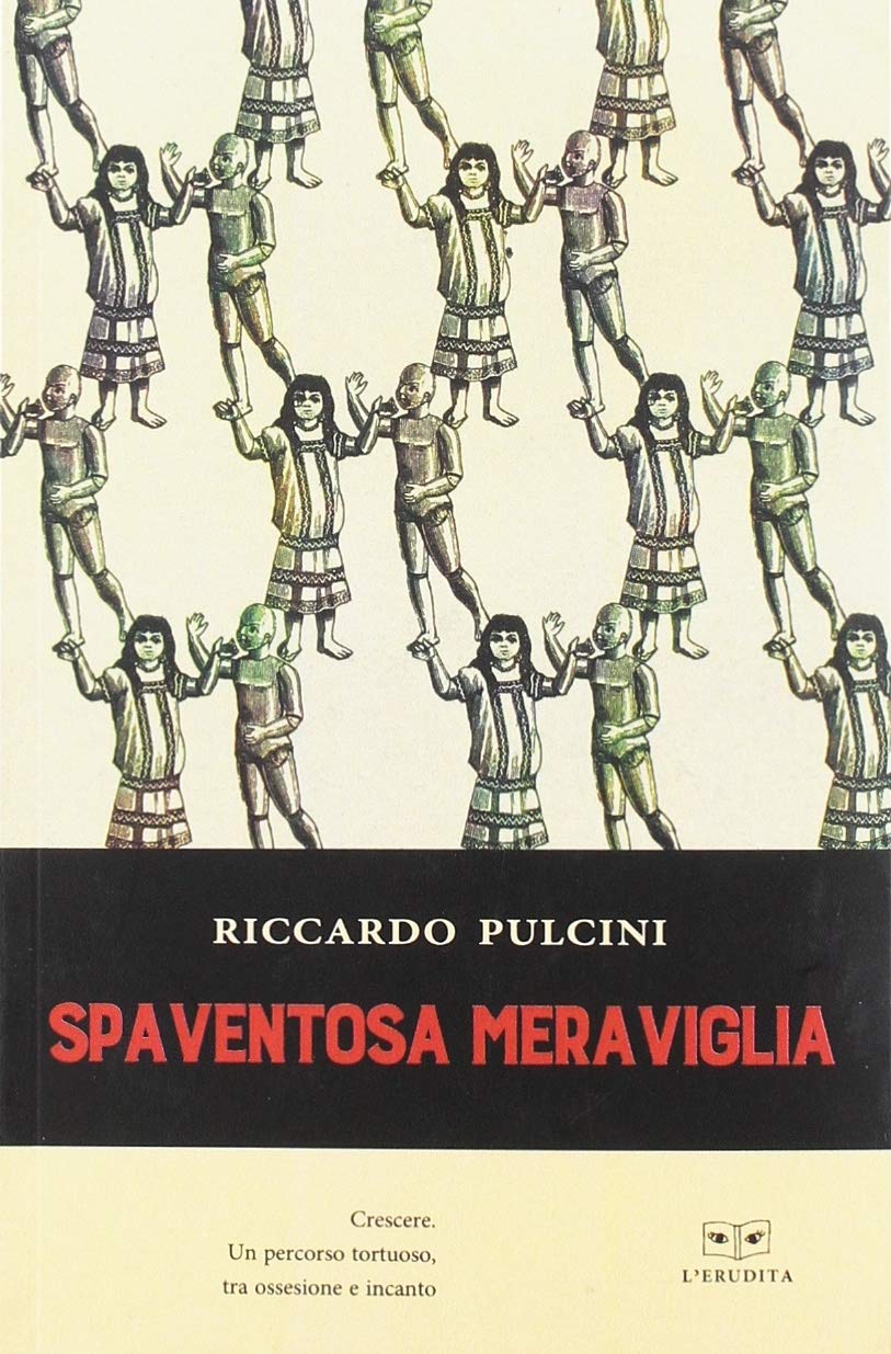 Spaventosa meraviglia book