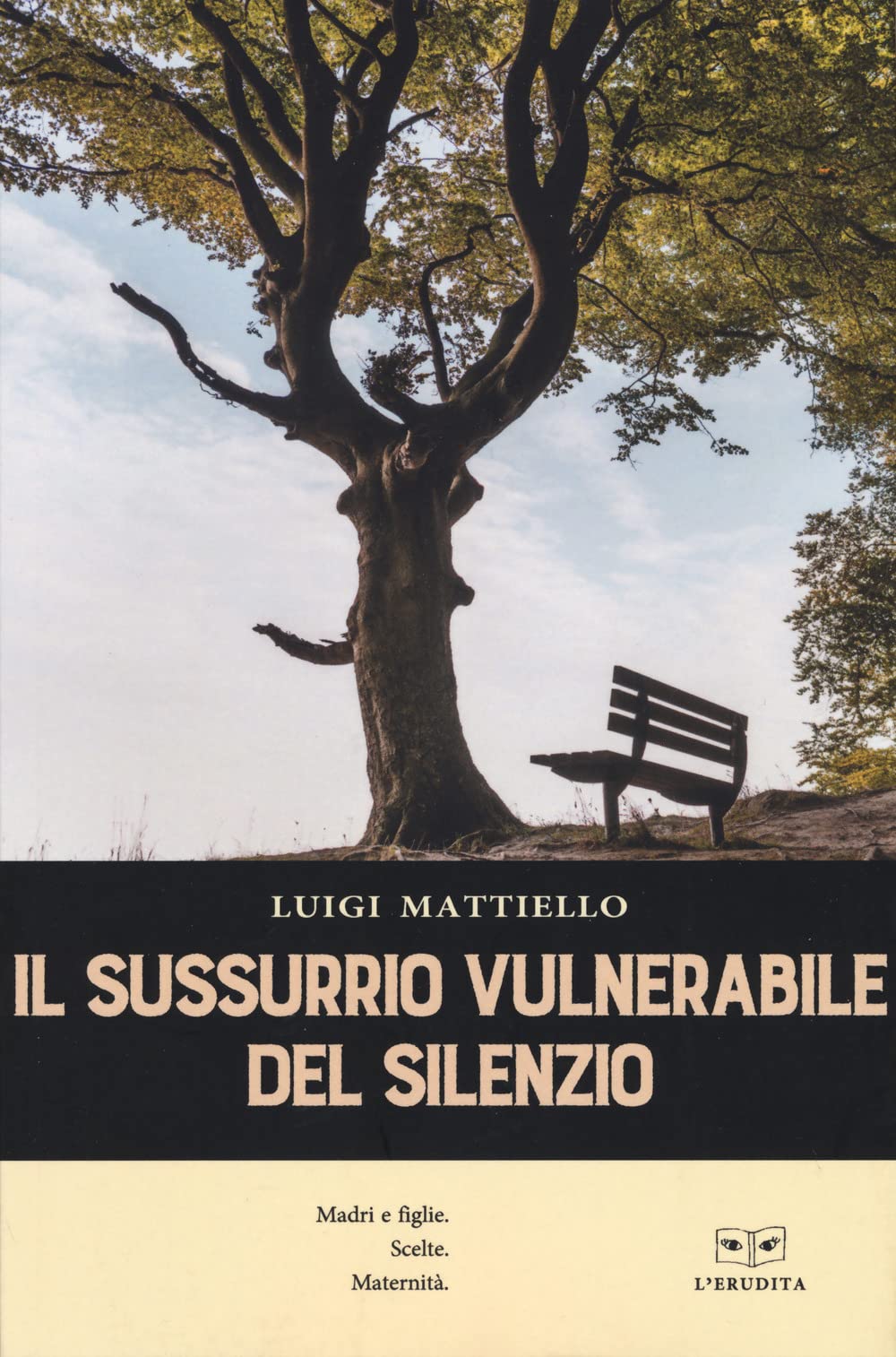 Il sussurrio vulnerabile del silenzio book