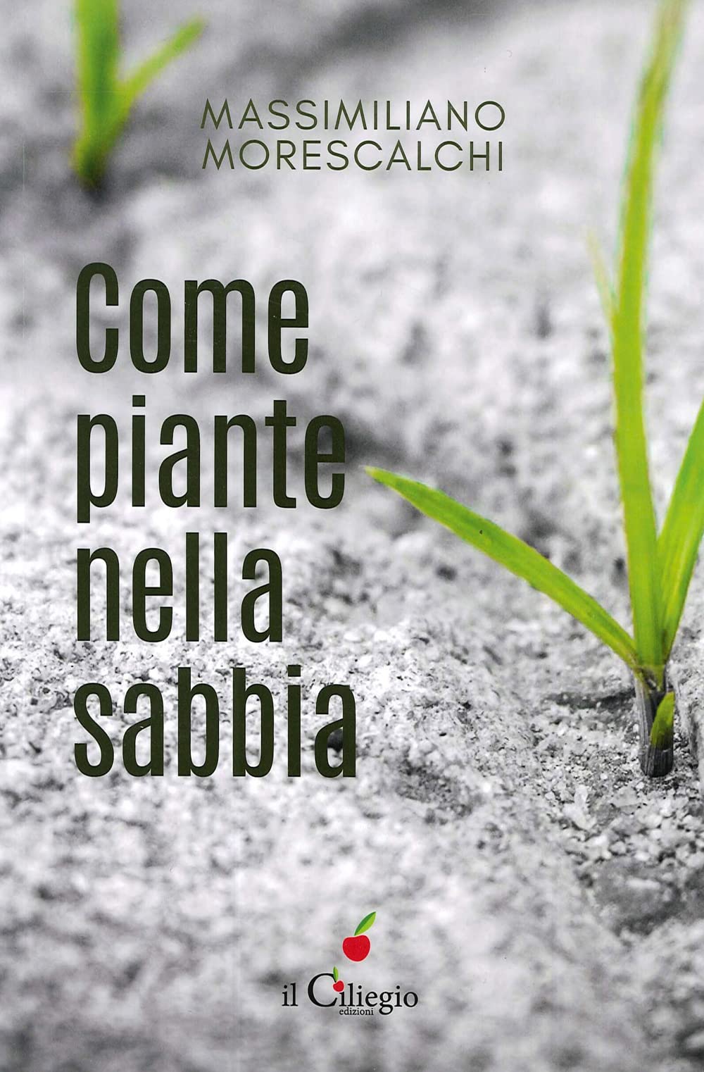 Come piante nella sabbia (Narrativa) Contemporary literature