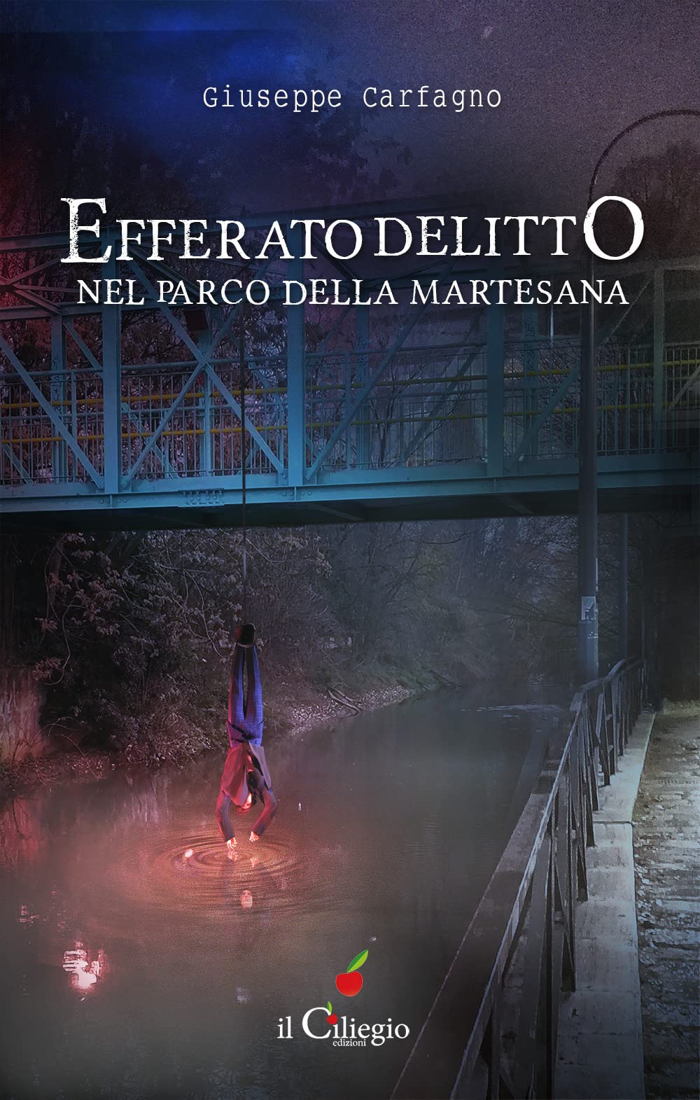 Efferato delitto nel parco della Martesana (Noir e gialli) Contemporary literature