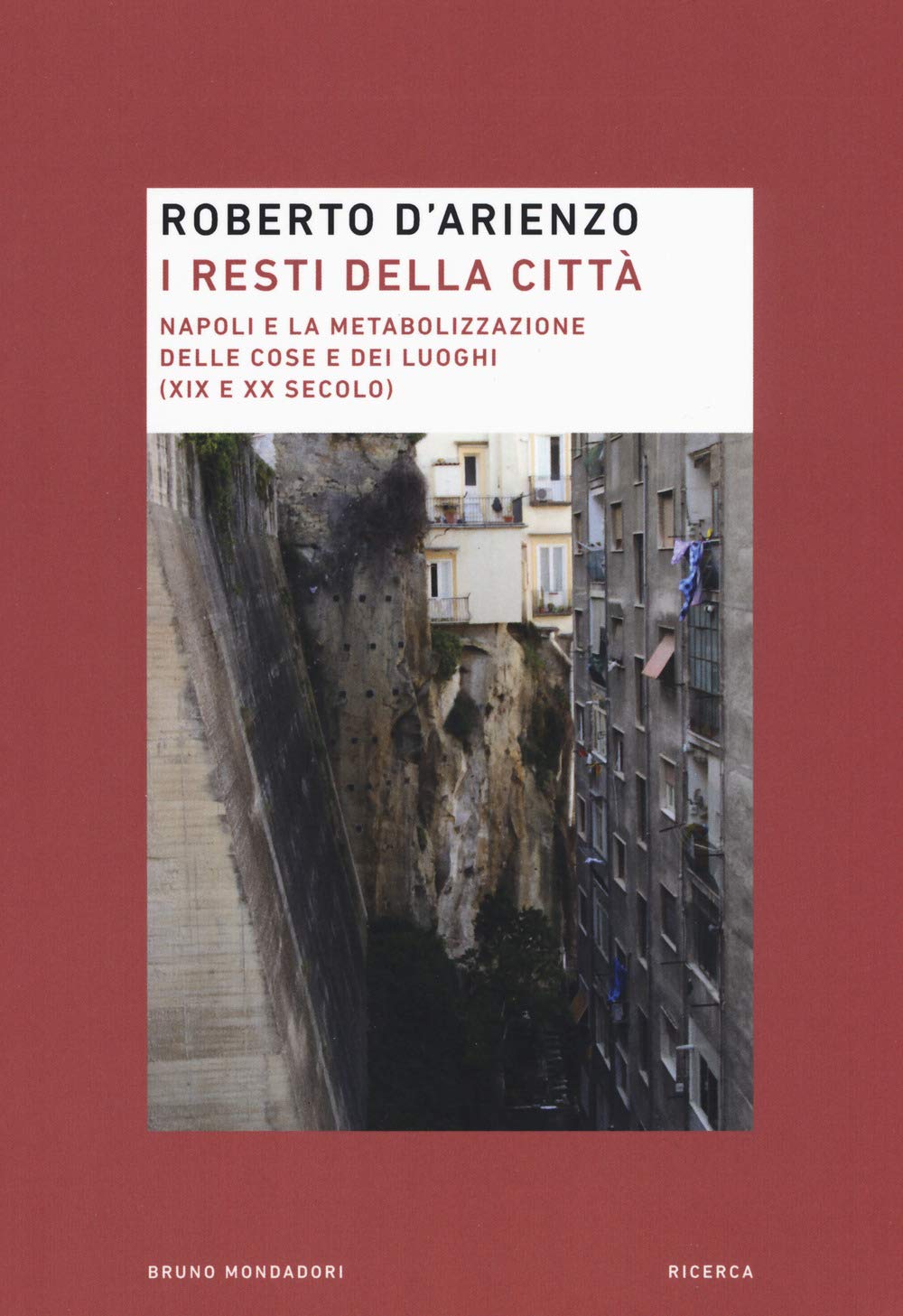 I resti della città. Napoli e la metabolizzazione delle cose e dei luoghi (XIX e XX secolo) book